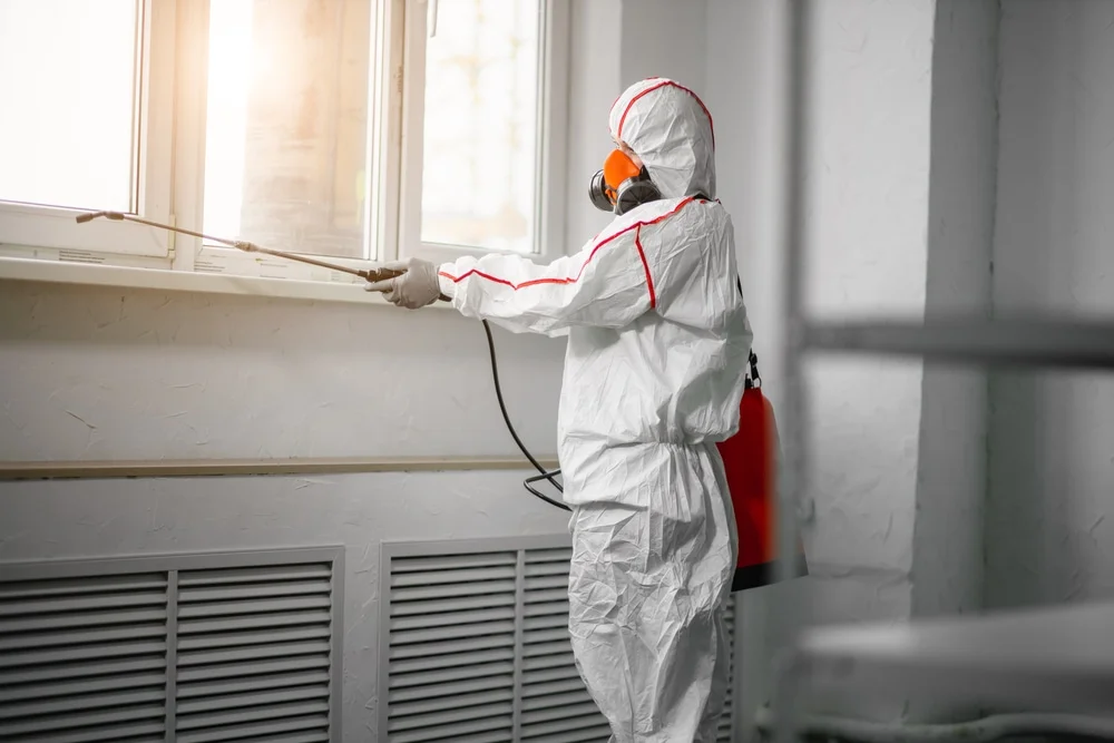 Professional mold remediation services in Hollis, NH